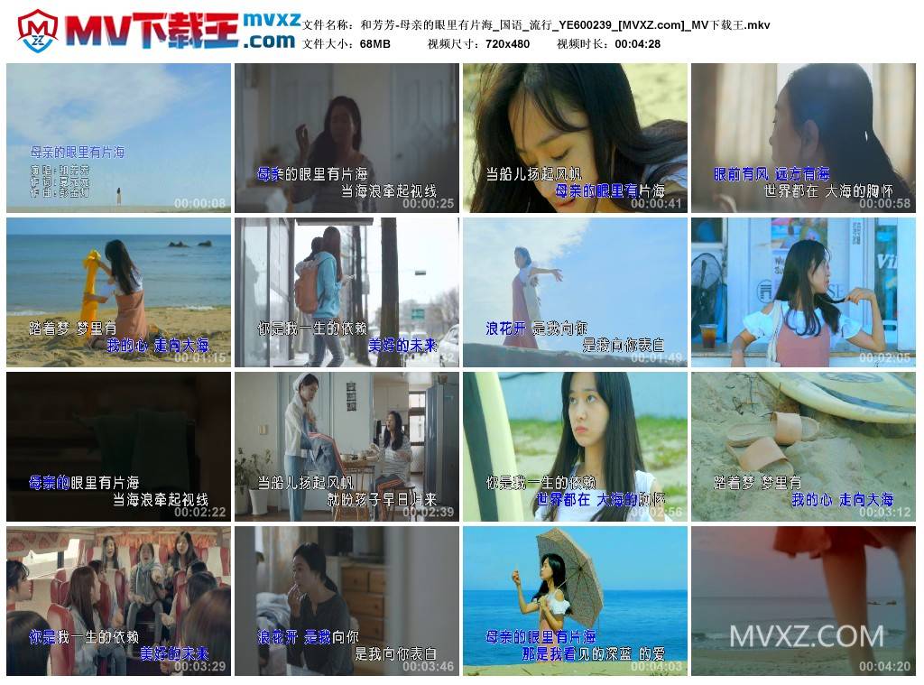 和芳芳-母亲的眼里有片海_国语_流行_YE600239